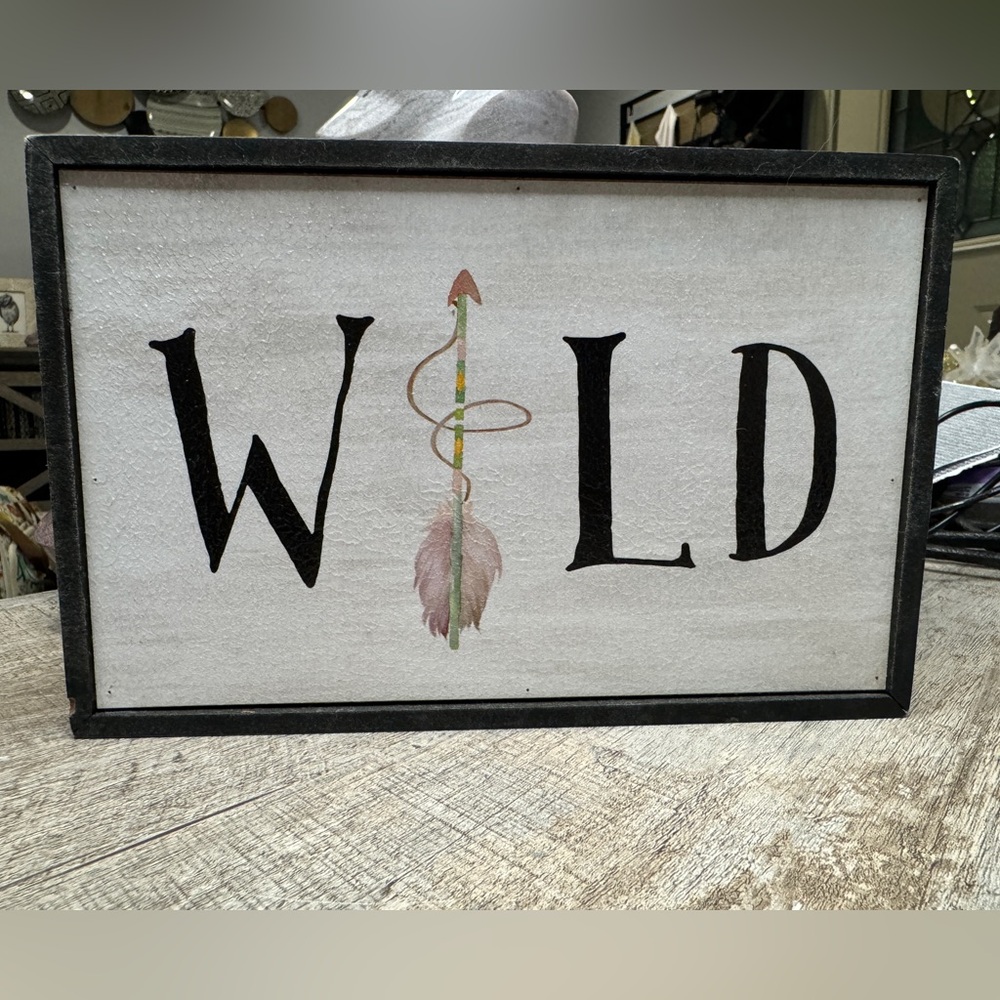 Boho Wall / Desk Decor - Wild - Feather Arrow - NWOT